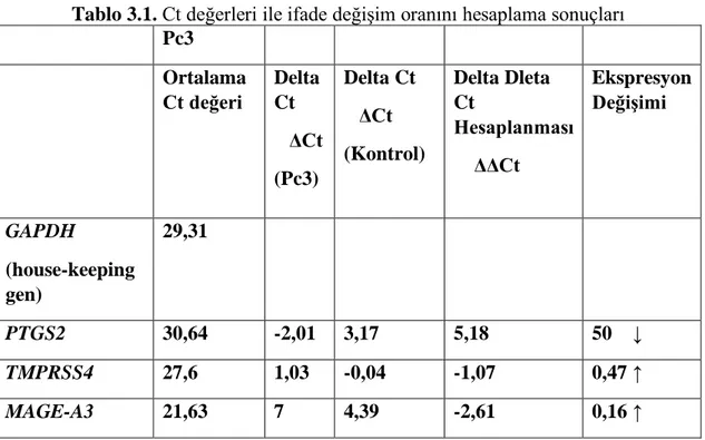 Tablo 3.1. Ct değerleri ile ifade değişim oranını hesaplama sonuçları  Pc3  Ortalama  Ct değeri  Delta Ct      ΔCt  (Pc3)  Delta Ct     ΔCt  (Kontrol)  Delta Dleta Ct  Hesaplanması     ΔΔCt  Ekspresyon Değişimi  GAPDH  (house-keeping  gen)  29,31  PTGS2  3