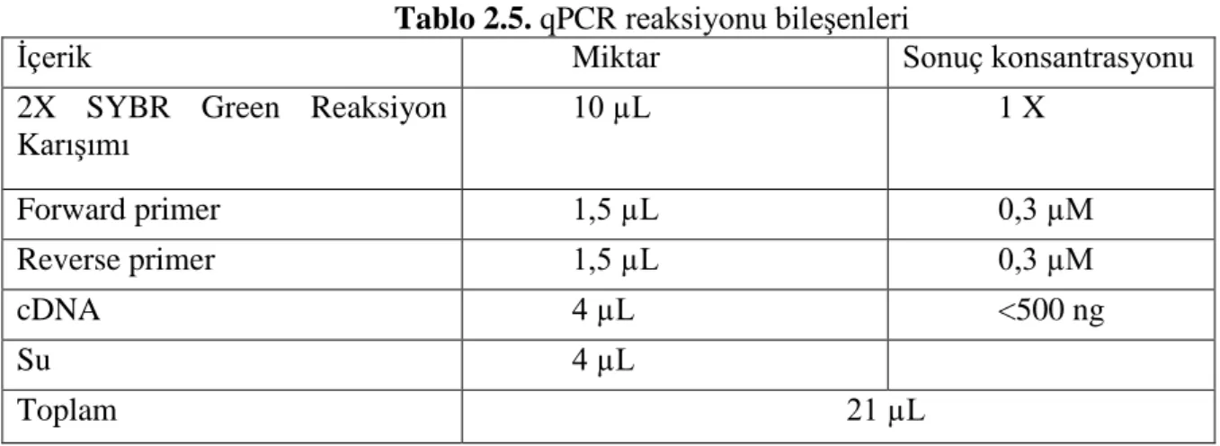 Tablo 2.5. qPCR reaksiyonu bileşenleri 
