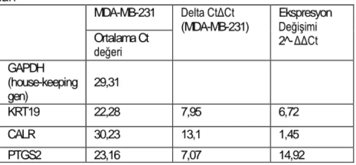 Tablo 4. Ct değerleri ile ifade değişim oranını hesaplama sonuç- sonuç-ları  MDA-MB-231  Delta CtΔCt  (MDA-MB-231)  Ekspresyon Değişimi  2^- ΔΔCt Ortalama Ct   değeri  GAPDH   (house-keeping  gen)  29,31  KRT19  22,28  7,95  6,72  CALR  30,23  13,1  1,45  