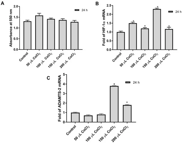 Figure 1: Effects of CoCl 2  at different concentrations on cytotoxic and gene expression in Saos-2 cells  were shown; (A) MTT Analysis was performed as described above in Saos-2 cells, (B) The relative mRNA  expression level of  HIF-1a was determined in S