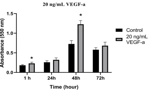 Figure 1: Effect of 20 ng/mL of VEGF-a treatment on Saos-2 cell proliferation. Untreated cells were used  as the control for 1, 24, 48, and 72 h