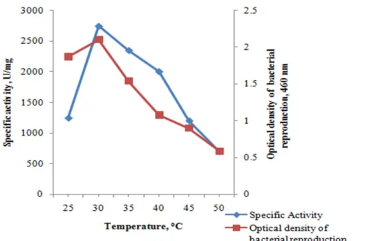 Figure 3: Effect of temperature on bacterial growth and enzyme production 