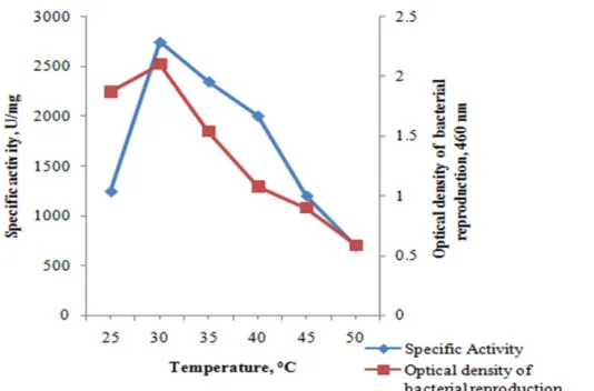 Figure 3: Effect of temperature on bacterial growth and enzyme production 