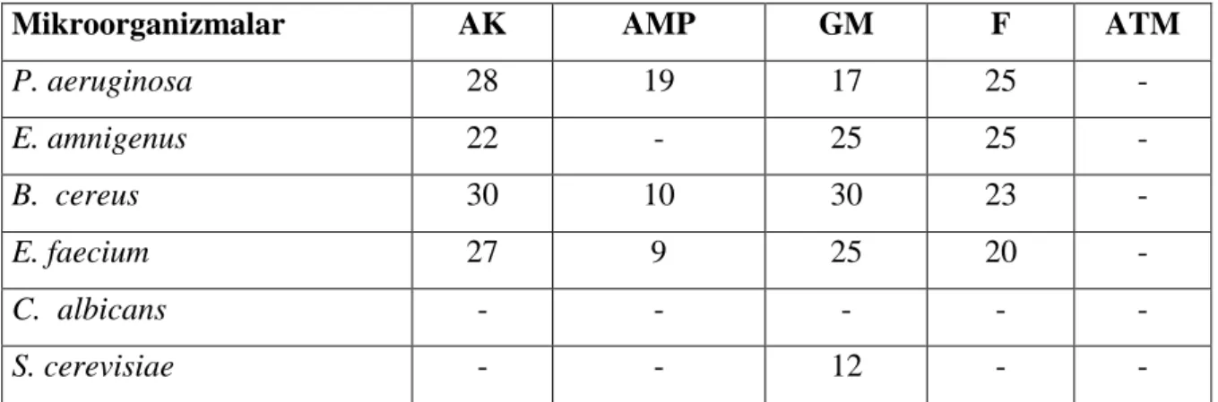 Tablo  1.  Standart  antibiyotiklerin  test  mikroorganizmalarının  gelişmesi  üzerine  etkileri  (İnhibisyon zonu,mm)