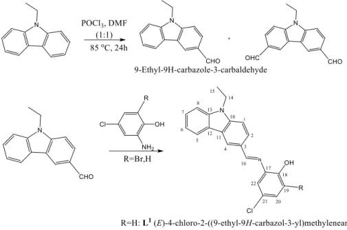 Figure 1: Synthesis scheme and the proposed structures for the synthesized compounds  2.1.1