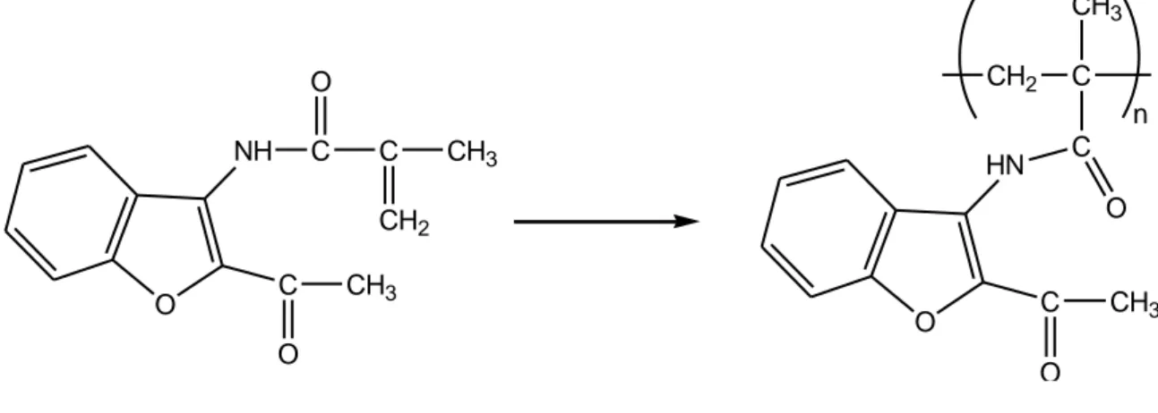 Şekil 3. Poli(NABM) Sentezi  Kopolimer sentezi   