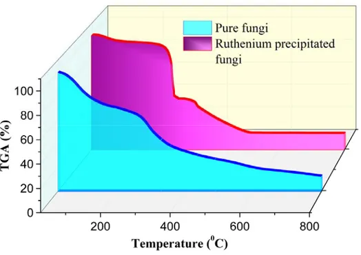 Figure 1 shows the comparison of TGA analyses of pure fungi and Ru-precipitated  fungi