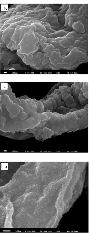 Figure 3. SEM images at different magnifications: a-b) chemically metal-precipitated fungi c-d)  nanostructured RuO 2  sample after annealing process at 500°C 