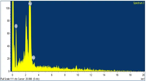 Figure 4. EDX spectrum and image of nanostructured RuO 2 /fungi sample after an annealing process at  500°C 