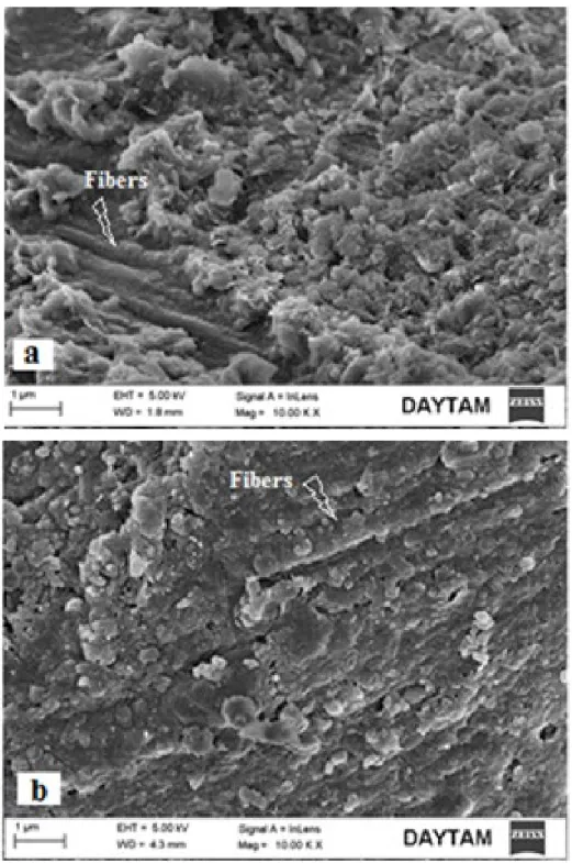 Figure 7. SEM imageries F-T before (a) and F-T after (b) 