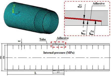 Şekil 1. Numunelerin sonlu elemanlarla modellenmesi 