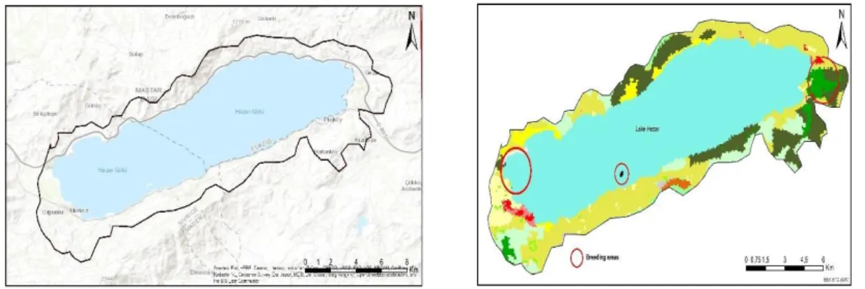 Figure 5: Hazar Lake Important Bird Area (IBA) topography map and habitat map 