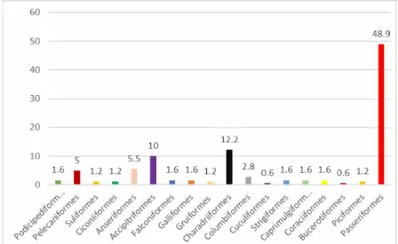 Figure 3: Percentage of the bird species in the area by ordo 