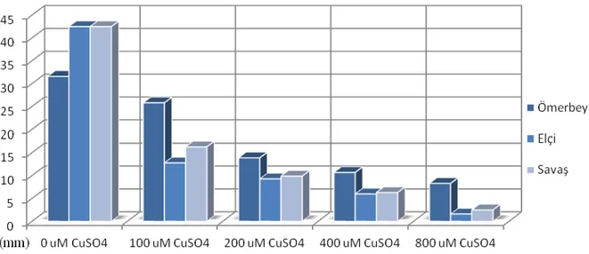 Şekil 1. Ömerbey, Elçi ve Savaş çeşitlerinin farklı konsantrasyonlardaki CuSO 4 
