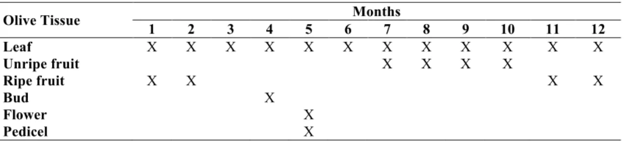 Table 1: Sampling olive tissues throughout the year 