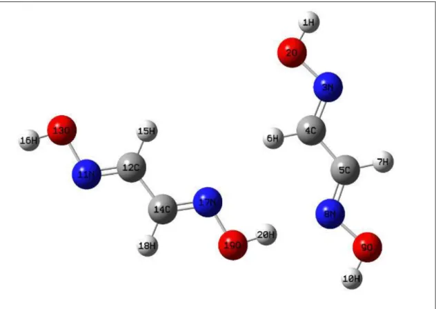 Figure 4 Schematic representation of the dimer modeling for glyoxime molecule [27] 