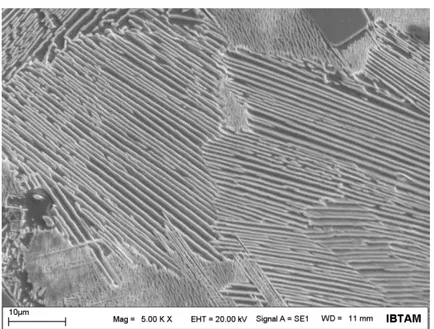 Figure 2: A SEM image showing the stable orthorhombic Ni 3 Ta phase in NiTa-1000 sample 