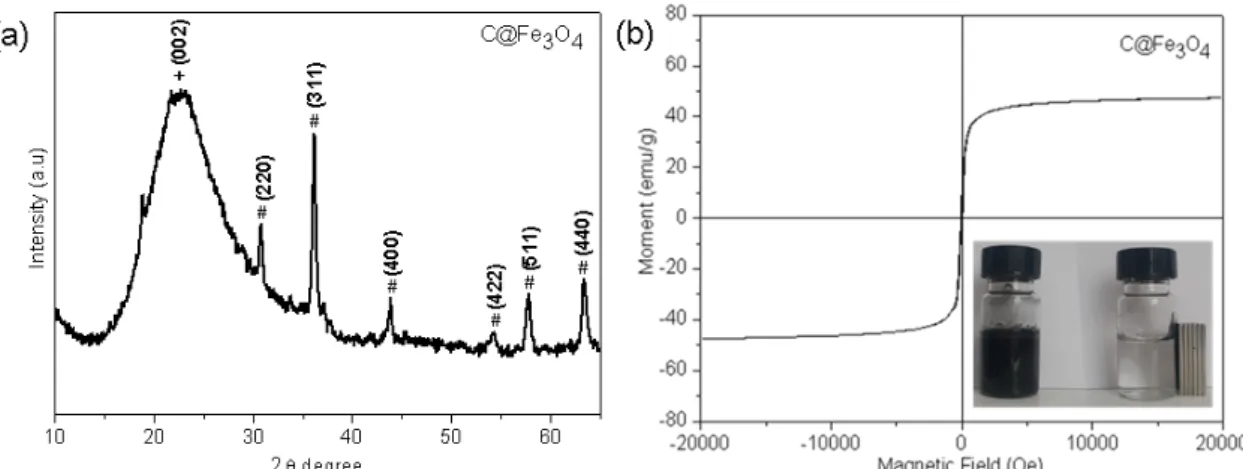 Figure 1: (a) XRD pattern of C@Fe 3 O 4 , (b) room temperature magnetization curve of C@Fe 3 O 4