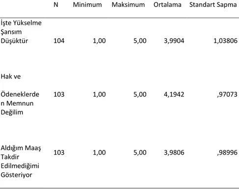 Tablo 2. İş ve Meslek Danışmanlarının Kariyer ve Gelire İlişkin Problemleri 