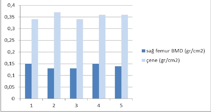 Şekil 3. Gruplar arası sağ  femurdiafizi ve çene bölgesinde KMY ölçüm grafiği 