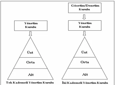 Şekil 1: Yönetim Kurulu Yapıları  