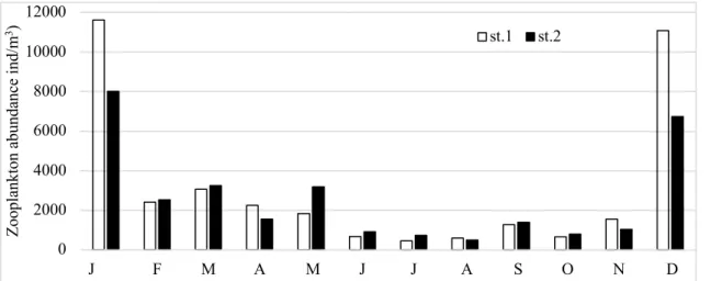 Figure 6: Abundance of zooplankton in cage and reference stations according to the months (ind/m 3 ) 