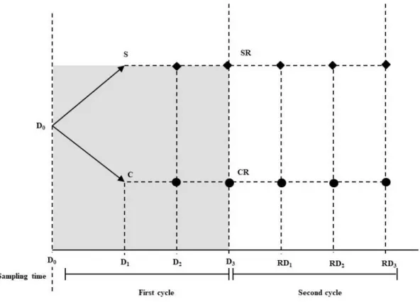 Figure 1.  Experimental design scheme of the present study  2.3 Gas Chromatography Headspace Analysis 