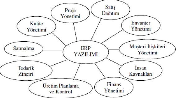 ġekil 2: Kurumsal Kaynak Planlamasının Temel BileĢenleri 