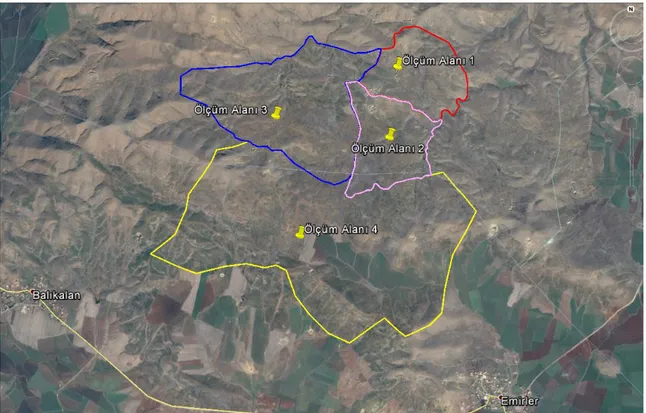 Şekil 1. Avlak sahasının bölgelere ayrılması 