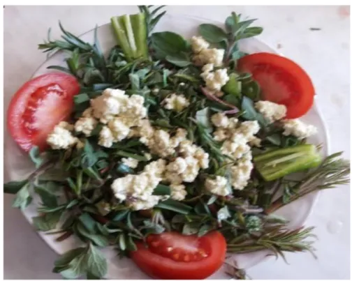 Şekil 3: Taze salata (menengiç filizleri, hababa ve zahter birlikte).   
