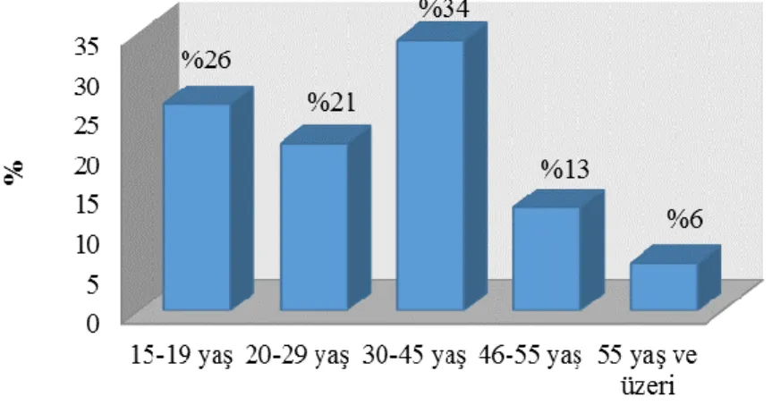 Şekil 1. Yaş Grubu  3.3. Mezuniyet Durumu 