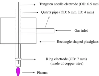 Figure 1: A schematic of N 2  atmospheric pressure plasma jet device 