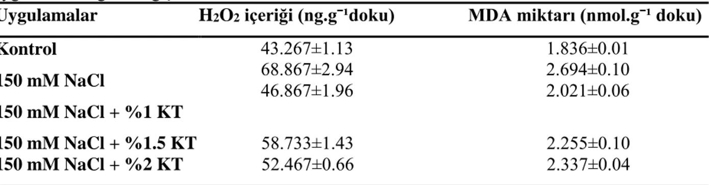 Tablo  5.  Fasulye  (Phaseolus  vulgaris)  bitkisinin  H 2 O 2   içeriği  ve  MDA  miktarının  uygulamalara göre değişimi 