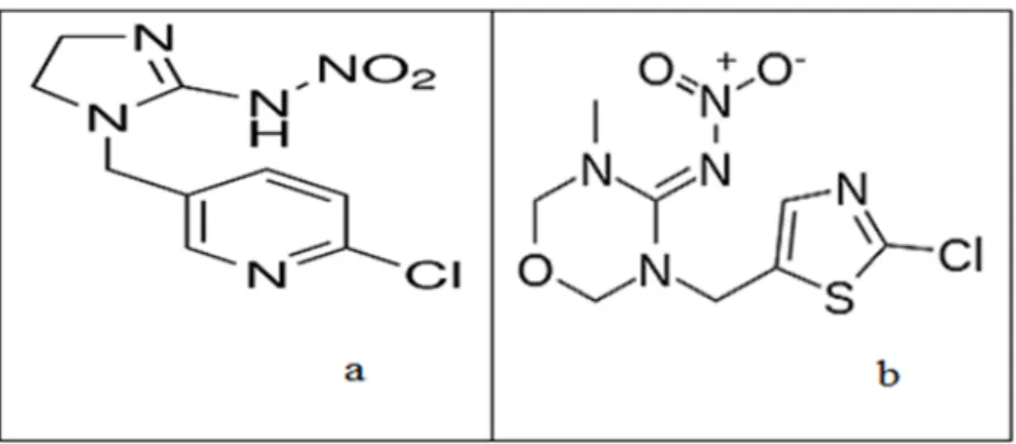 Figure 1. Structures of imidacloprid (a) and thiamethoxam (b) 