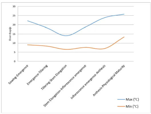 Figure 1. Actual Average Daily Temperatures Under NT Regime 