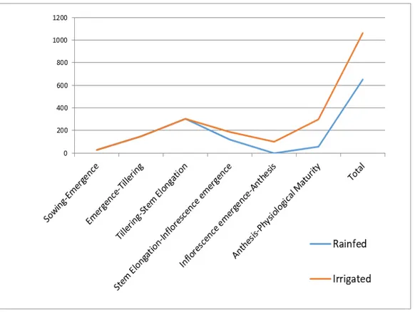 Figure 3. Amount of Water That Research Area Received Under NT Regime (mm) 