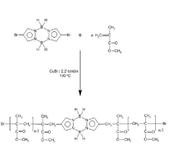ġekil 2.1. ATRP ile pirazabol merkezli iki kollu polimetilmetakrilatın hazırlanması  