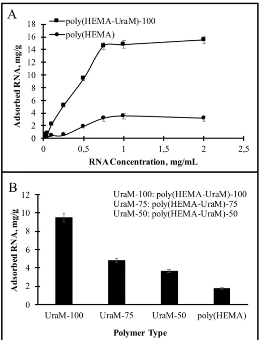 Figure 4: The effect of (A) initial RNA concentration; (B) comparison of RNA adsorption capacities in  respect to the amount of functional ligand