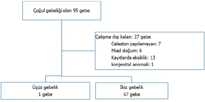 Şekil 1: Hasta diagramı. 