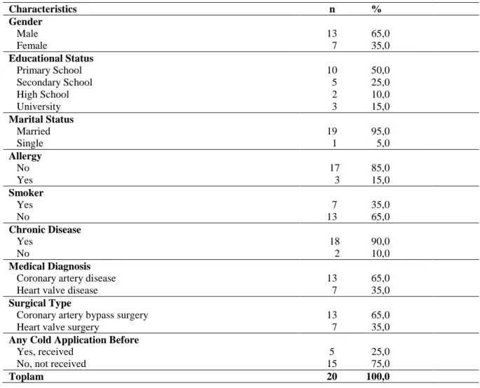 Table 1. Patients characteristics (N = 20) 