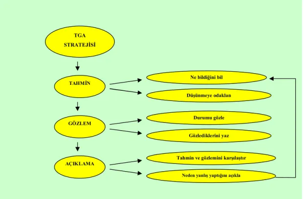 Şekil 3.2: TGA stratejisinin uygulama süreci 