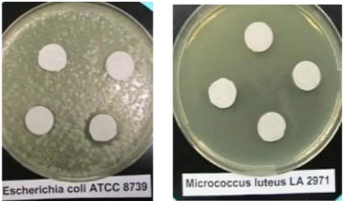 Şekil  2.  Bacillus  cinsi  bakterilerin  patojen  mikroorganizmalara karşı inhibisyon etkisi 