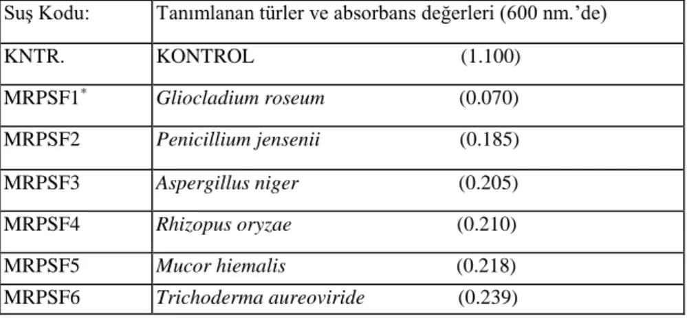 Tablo 1B: NBRIP-BPB besi yerinde kültüre alınan mikrofungus suşlarının, trikalsiyum fosfat  (inorganik fosfat) çözünürlüğündeki etkinliklerinin, spektrofotometrik sonuçları