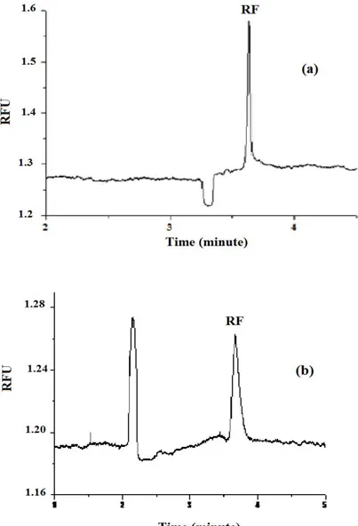 Figure 1. Electropherogram of (a) 0.3 µM of Riboflavin (RF) standart solution; (b) commercial apricot  fruit nectar (AFN 3)
