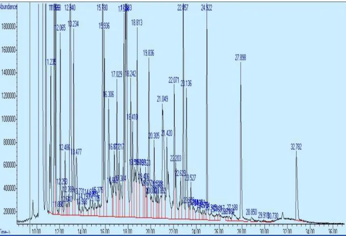 Şekil 4: S. pilifera taksonu uçucu yağının GC-MS Kromatogaramı (Kahramanmaraş-Narlı) 