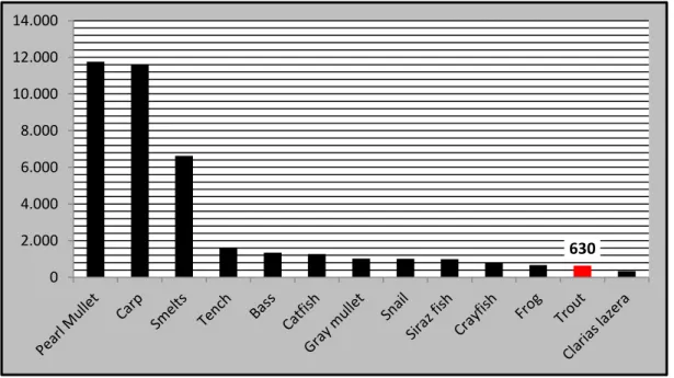 Table  2  shows  that  trout  fish  production  in  sea  water  constitutes  only  3,9  %  of  Turkey’s  total  trout  fish  production