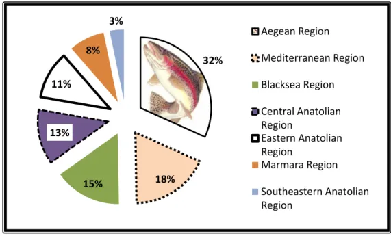 Figure 4: Geographical distribution of trout fish production in Turkey, based on the regions (2008)  Although  Black  Sea  region  is  on  the  third  place  on  trout  farming,  the  Black  Sea  itself  provides  the  best  conditions for this purpose