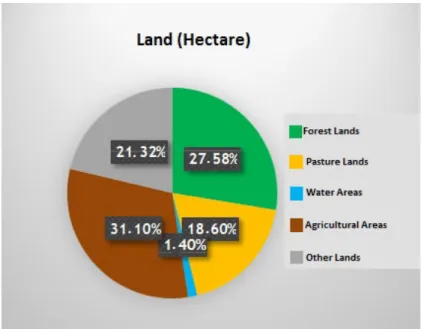 Figure 1. The proportion of land use classes to the total surface of Turkey 