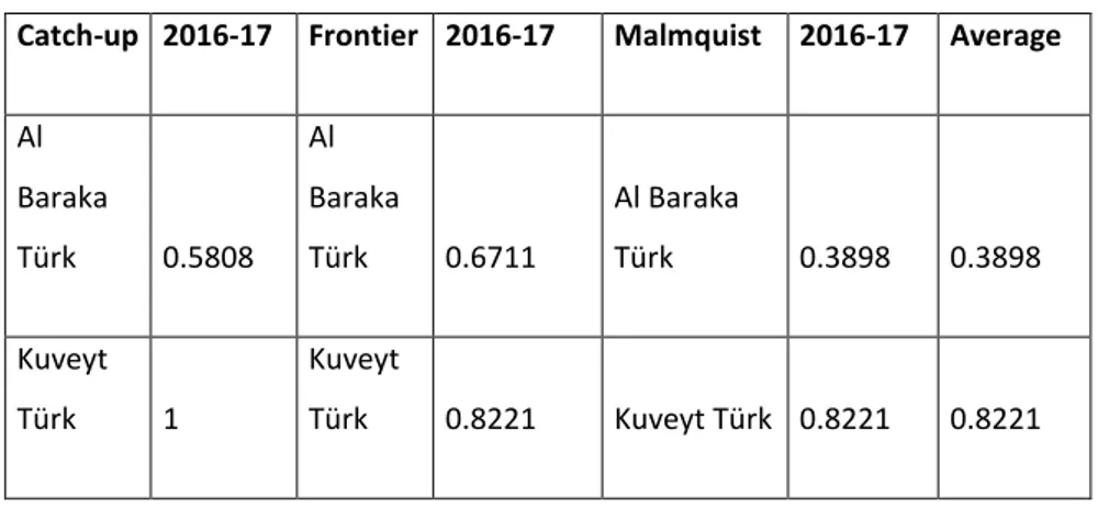 Tablo 7. 2016-2017 yılları arası Malmquist – Radial I-C Index 
