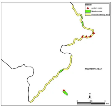 Figure 2: The breeding distribution of falcons. Red triangle shows the nests, which were definitely found  and monitored, green colored areas indicate observed pairs but the nest couldn’t found, yellow colored  areas are also sea cliffs and possible nestin